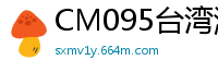 CM095台湾激情一夜国产裸聊